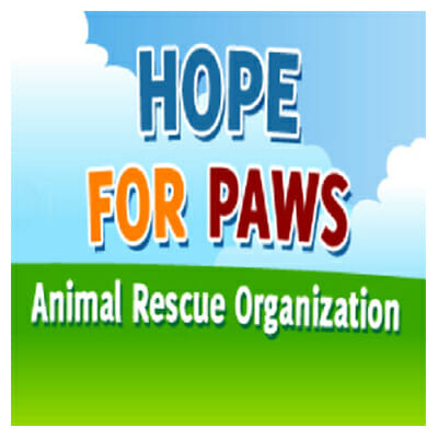 Hope for Paws